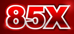 br85x.net Logo